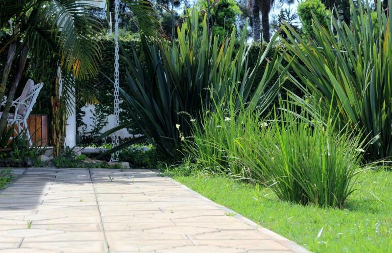 Casa De Campo Na Cidade Da Saude แซร์ฮาเนกรา ภายนอก รูปภาพ